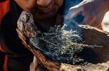 Kangaroo Island Indigenous Tour (1 Day)