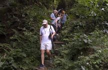 DAIBUTSU 3 Hours Private Walking Tour KAMAKURA