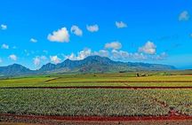 Private Customizable Oahu Grand Circle Island Tour from Waikiki 