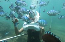 Cham Island Sea Trek and Snorkeling by Speedboat