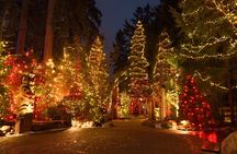 Vancouver Christmas Lights Karaoke Trolley Tour