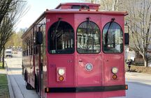 Vancouver Christmas Lights Karaoke Trolley Tour