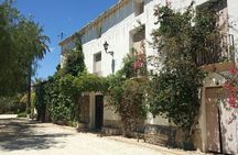 Guided Tour Of An Old Winery with Tasting from Alicante and Elche