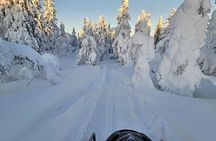 Snowmobile Tour with Small Group in Remote Wilderness 3 Hours