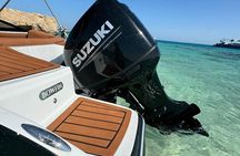 Private Speedboat Dolphins and Snorkeling in Hurghada
