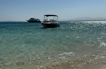 Private Speedboat Dolphins and Snorkeling in Hurghada
