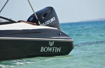 Private Speedboat Dolphins and Snorkeling in Hurghada