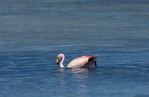 3 Days to Uyuni Salt Flat from Sucre