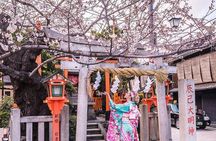Kyoto Highlight Private Tour with English Speaking Driver