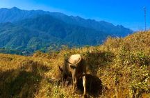 One Day Sapa Trekking
