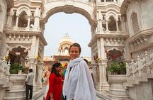 From Delhi: 1-day trip Mathura with Elephant conservation