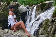 Coffee Plantation and River with Waterfalls in Puerto Rico