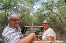 Ranthambore - Sharing Tiger Safari In Canter Or Gypsy Vehicle