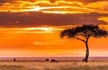 3 Days Serengeti and Ngorongoro Midrange Safari