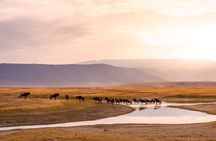 3 Days Serengeti and Ngorongoro Midrange Safari