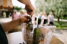 Valeggio: Sorsi d’Estate, 3 young wines with guided tour