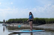 Amelia Salt Marsh Paddle in Talbot Islands State Park