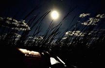 Amelia Full Moon Paddle at Talbot Islands State Park