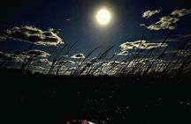 Amelia Full Moon Paddle at Talbot Islands State Park