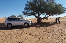 Agadir Desert Tour with Lunch