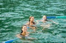 Shared Tour in Vela Catamaran - Velas do Rio
