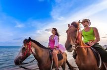 Agadir Sunset Camel Ride Tour with BBQ Dinner