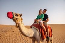 Agadir Sunset Camel Ride Tour with BBQ Dinner