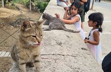 Meet the Cats of Acropolis and Thissio Private Tour