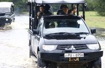 Wilpattu National Park Private Safari From Dambulla & Sigiriya