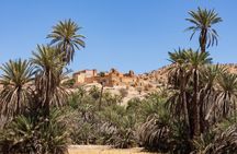 Taroudant and Tiout Day Trip from Agadir