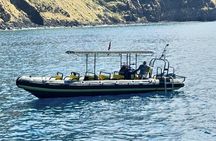  Seasonal Small-Group Humpback Whale Watching in Kona