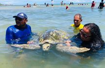 Discover Búzios: Guided Tour with Boat and Lunch