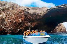  Paracas Ica and Huacachina from Lima All Inclusive in 1 day 