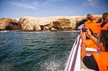  Paracas Ica and Huacachina from Lima All Inclusive in 1 day 