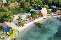 Roatan Horseback Riding and private beach daypass at bredy's key 
