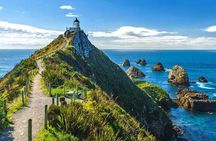 Catlins Cruiser Private Tour from Dunedin Cruise Port