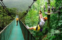  Rainforest Skywalk & Zipline Adventure Tour