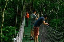  Rainforest Skywalk & Zipline Adventure Tour