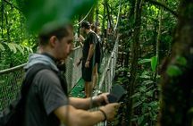  Rainforest Skywalk & Zipline Adventure Tour