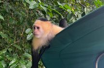 3 1/2 Hour Experience of Lake Gatun in Panama