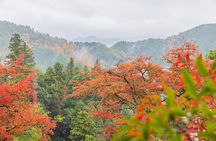Kyoto Hiking Tour: The Nature and Legends of Kurama and Kibune