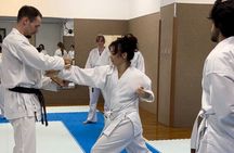 Karate Experience with the Shotokan Karate-do Instructor