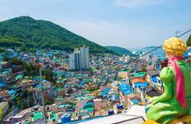 Busan City Top Attractions Full day Tour