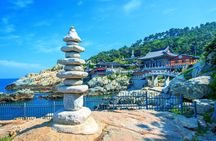 Authentic Busan Full-Day City Highlights Tour