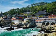 Busan City Top Attractions Full day Tour
