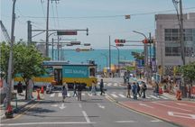 Authentic Busan Full-Day City Highlights Tour