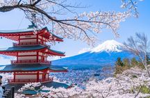 Mount Fuji Day Trip from Tokyo with Scenic Views