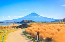 Mt Fuji Pilgrimage Full Day Tour with 7 Must See Scenic Spots