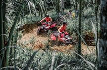 Ubud ATV Quad Bike with Gorilla Cave and Rice Terrace