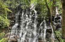 Best Of Hidden Waterfall And Ubud Private Tours
